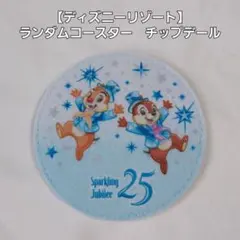 【ディズニーリゾート】ランダムコースター チップ デール