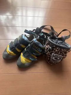 Item thumbnail for item 323d9e8c-8dc6-479a-bcf4-3ca600cb20ba