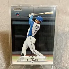 2025 Topps Studium Club 柴田獅子 RC