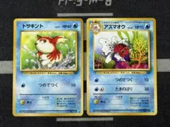【10点2500円引き】ポケモンジャングル2枚セット⑦