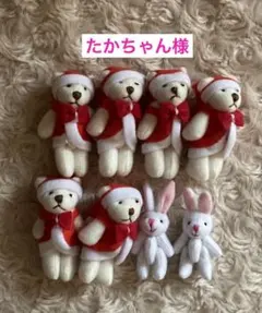 たかちゃん様用セット