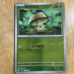 タマゲタケ C スカーレット&バイオレット 拡張パック ブラックボルト