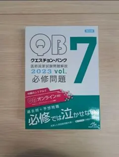 2026年最新】qb 2023の人気アイテム - メルカリ