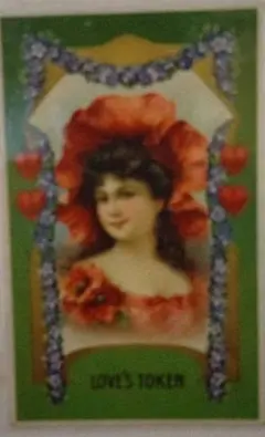 ヴィクトリアンカードコレクション ヴィクトリアンカードコレクション―麗しき少女たち | 田辺 絹絵