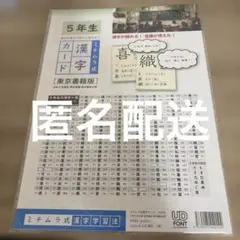 新品、未使用、美品　ミチムラ式　漢字カード　5年生