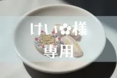 けい‪‪✿様　専用