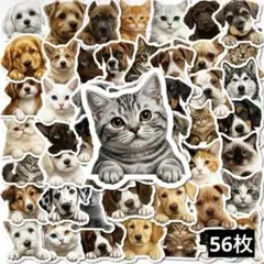 A34　ステッカー　お裾分け　フレークシール　海外　防水　動物　生き物　犬　猫