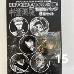 呪術廻戦 禪院真希　特製缶バッジ 15点　ジャンプGIGA 付録