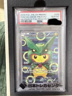 ポンチョを着たピカチュウ　レックウザのサムネイル