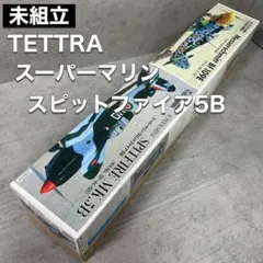 TERA エリーン白スク水ver ワンフェス2014夏限定フィギュア未開封