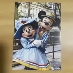東京ディズニーリゾート ポストカード ミッキーマウス ミニーマウス