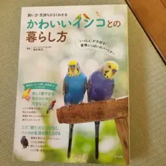 飼い方・気持ちがよくわかる かわいいインコとの暮らし方