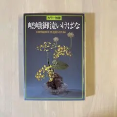 旧嵯峨御所華道総司所　盛花瓶花　竹之巻/桐之巻/菊之巻奥セット　非売品　生け花 旧嵯峨御所華道総司所 盛花瓶花 竹之巻/桐之巻/菊之巻奥セット