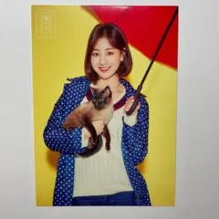 TWICE ランダムトレカ Dreamday ジヒョ