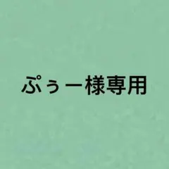 ぷぅー様専用