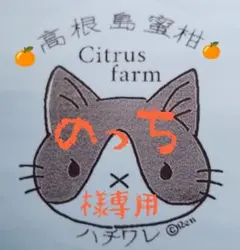 ※のっち様専用※