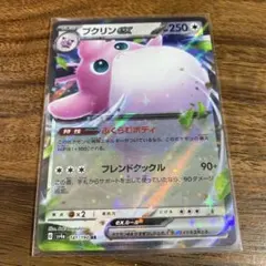 プクリンEX HP250 RR