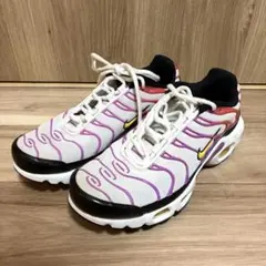 【希少/美品】ナイキ Nike Air Max Plusエアマックスプラス 23