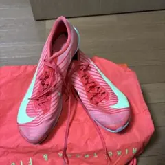 NIKEマックスフライ2 25.0