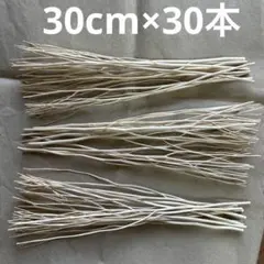 つくし袴無し300g 千葉県産農薬未使用 - メルカリ