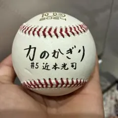 2026年最新】近本 サインボールの人気アイテム - メルカリ