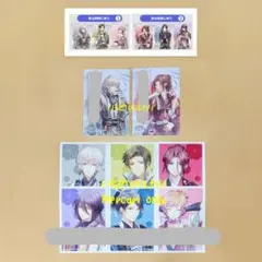オトメイト 君は雪間に希う 君雪 アニメイト ステラワース 特典 冊子