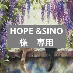 HOPE &SINO様　専用