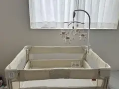 メリー