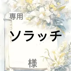 ソラッチ 様　専用