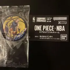 ONE PIECE ポートガス・D・エース アクリルキーホルダー - メルカリ