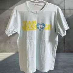 浜崎あゆみ a-nation'08 スカイブルー T-shirts Lのサムネイル