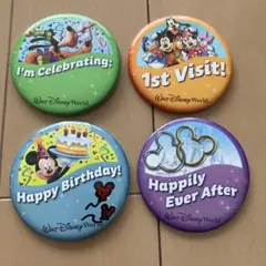 フロリダ　ウォルトディズニーワールド 缶バッジセット 4種類　非売品　イラスト付