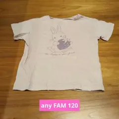 any FAM オーガニックコットン Tシャツ 120