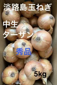 淡路島 玉ねぎ 秀品 5kgのサムネイル