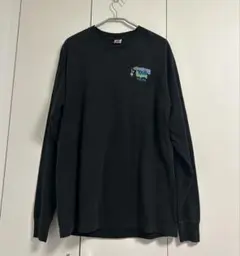 【USA製】90s フルーツオブザルーム ロンT 黒 XL