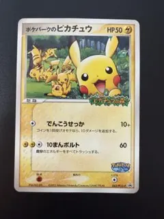 ポケパークのピカチュウ PROMO PCG-Pプロモカード 043/PCG-P①のサムネイル
