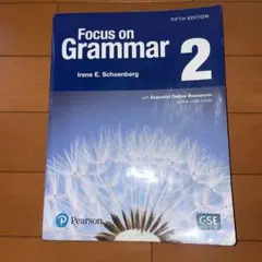 Focus on grammar