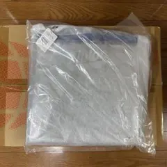 Ziploc × DEAN&DELUCA × BEAMS クーラーバッグ L