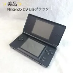 dsi 本体