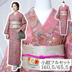 フ9986　未使用近い　美品　袷　化繊　友禅　小紋　フルセット