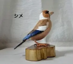 Item thumbnail for item 98349b98-7b87-4d36-b4cd-b675d5959791