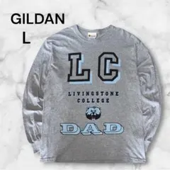 【極上配色】LIVINGSTONE COLLEGE カレッジロゴ ロンT グレー