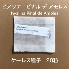 森のクマさん様 リクエスト 9点 まとめ商品