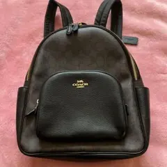 2026年最新】COACH コーチ リュック レオパードの人気アイテム - メルカリ