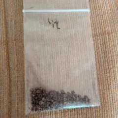 さくら様 リクエスト 2点 まとめ商品