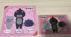 教育番組 しゃちょう キャベツ コーン コースター gigo 限定