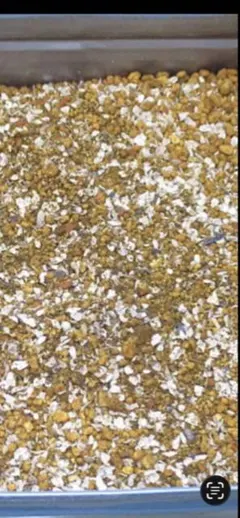 Item thumbnail for item 193b5ec7-c072-41e2-a746-c778445f5b14