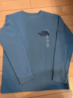 THE NORTH FACE ロングスリーブ　デジタルロゴTシャツ レディースＬ