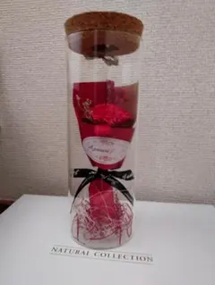 三浦春馬『ハルコレ』造花薔薇・メッセージカード - メルカリ