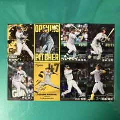カルビープロ野球カード　レトロ　11枚セット　選択可能　② cardya2_zc2001-r-135